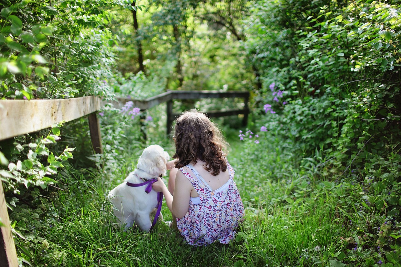 the Baxter Project encourages animal-assisted therapy and interactions