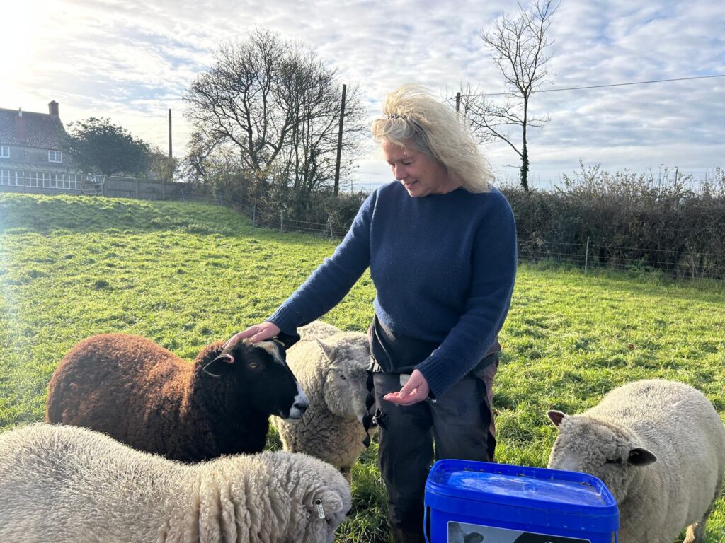 TACT foster carer, Janita, with her sheep - that she uses for informal animal therapy with her children