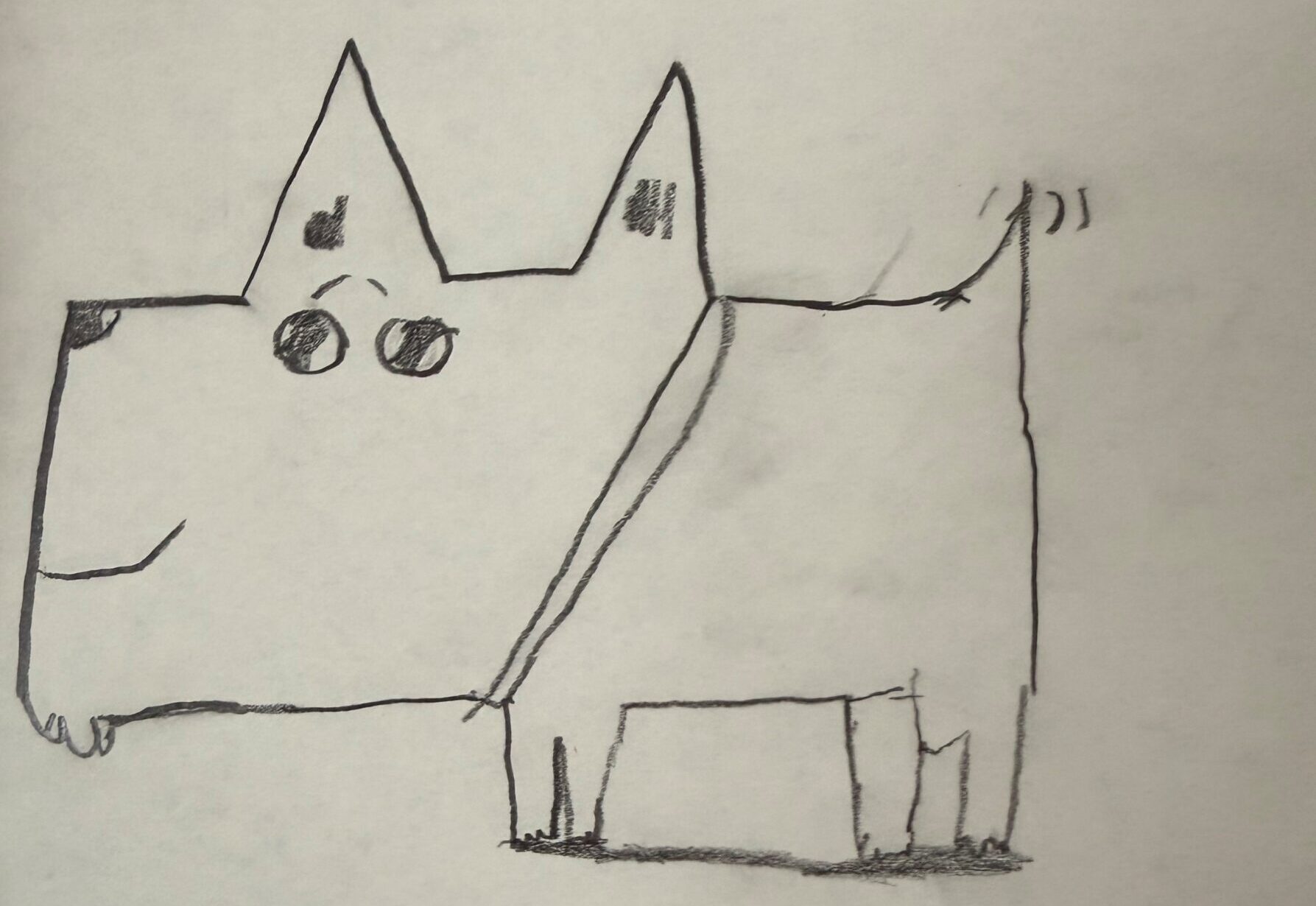 A young person's drawing of a dog