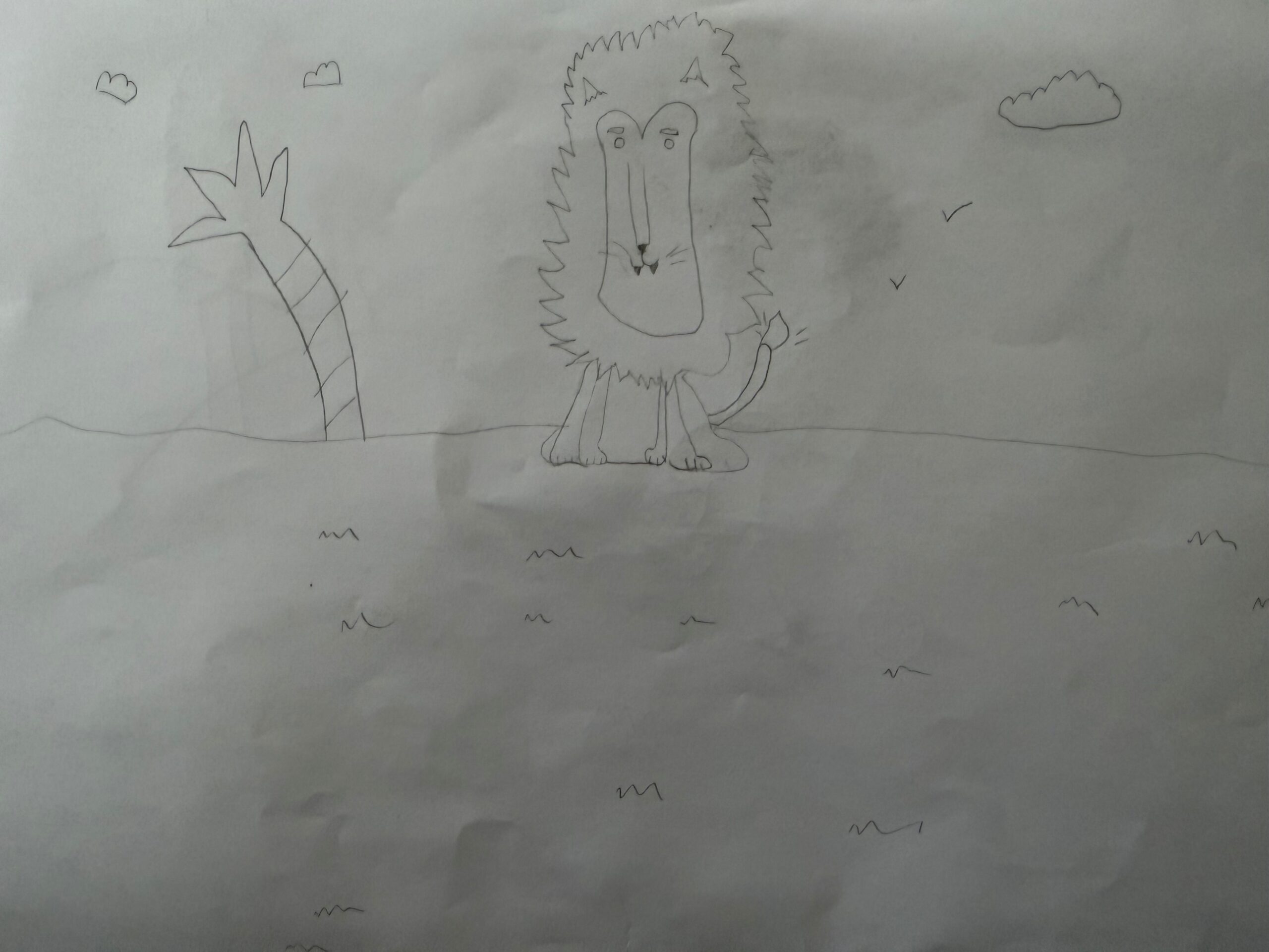 A young person's drawing of a lion