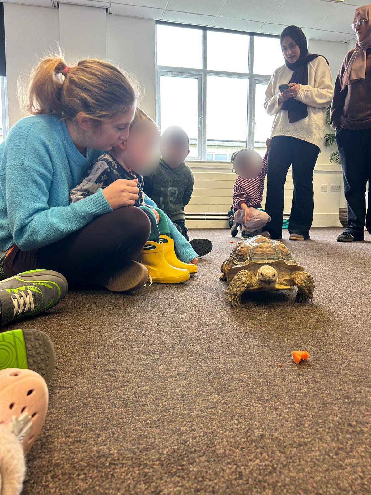 TACT young people watching a tortoise