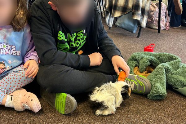 TACT young people feeding a guinea pig