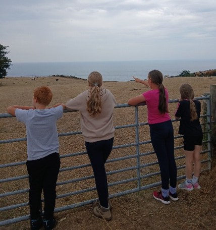 Four young people looking across a field