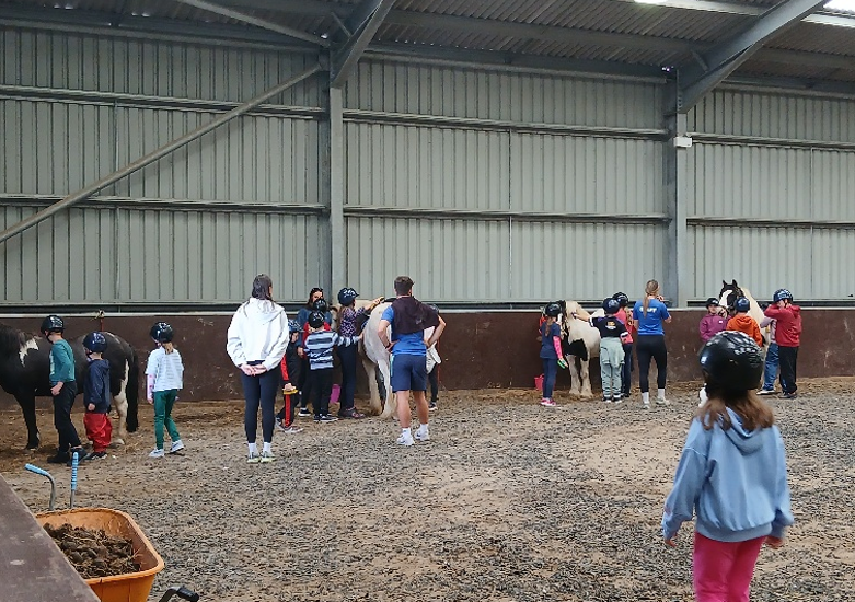 Some young people grooming horses